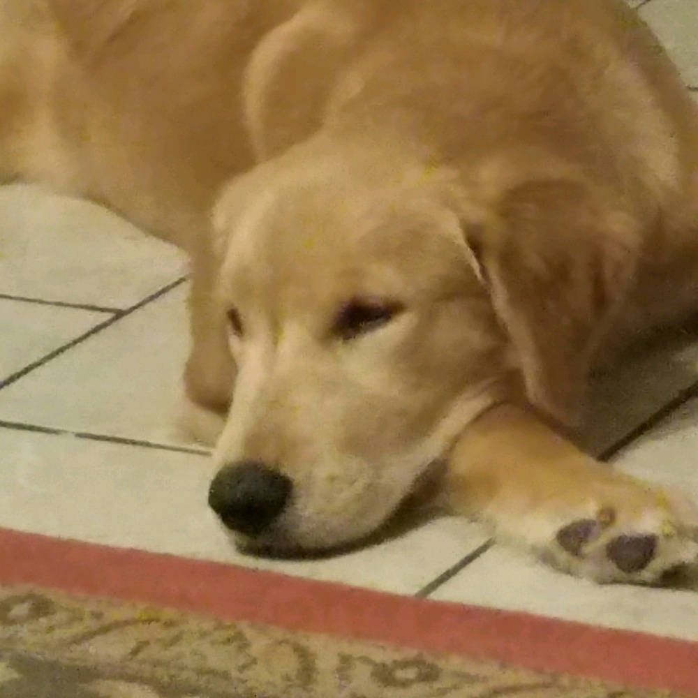 Meet your Posher, Chris